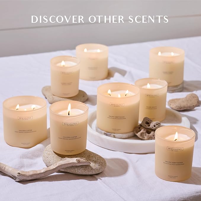 Orange, Cedarwood & Clove – Benevolence LA Large 3-Wick Fall Scented Candle for Home | 15oz, 50-Hour Burn | Soy Wax, Cotton Wicks | Warm & Inviting Autumn Fragrance | Malibu Sands Collection