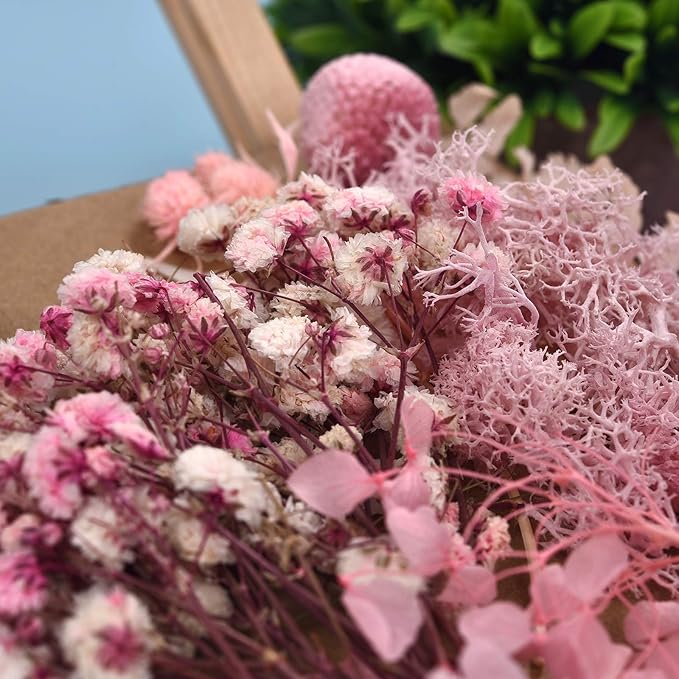 DALARAN 3 Pack Dried Flowers for Candle Making DIY Pressed Dried Flowers Multiple Natural Pressed Flowers Colorful Decorative Dried Pressed Fowers for Crafts