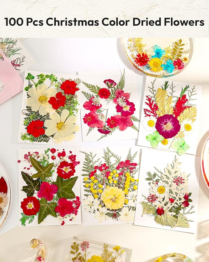 Dried Flowers, Resiners 6 Pack Pressed Flowers for Christmas Craft 100% Real Natural Dried Flowers Kits for Christmas DIY Making Crafts Resin Soap Candle Making Jewelry Scrapbook Supplies Card