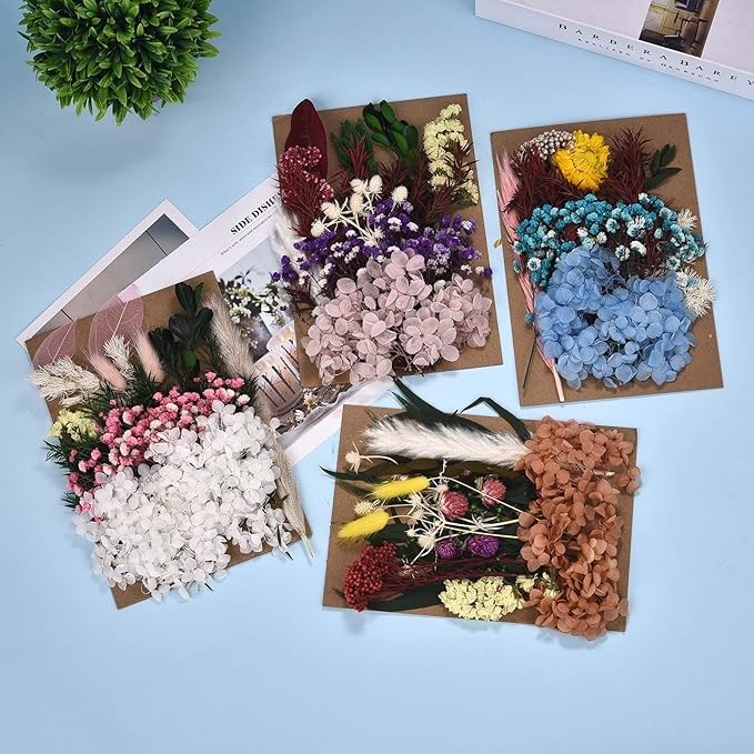 DALARAN 4 Pack Pressed Dried Flowers Multiple Colorful Pressed Flowers for Craft Resin Jewelry Making Art Craft DIY