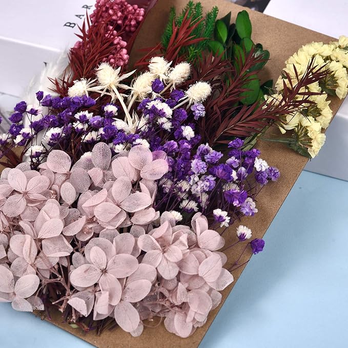 DALARAN 4 Pack Pressed Dried Flowers Multiple Colorful Pressed Flowers for Craft Resin Jewelry Making Art Craft DIY