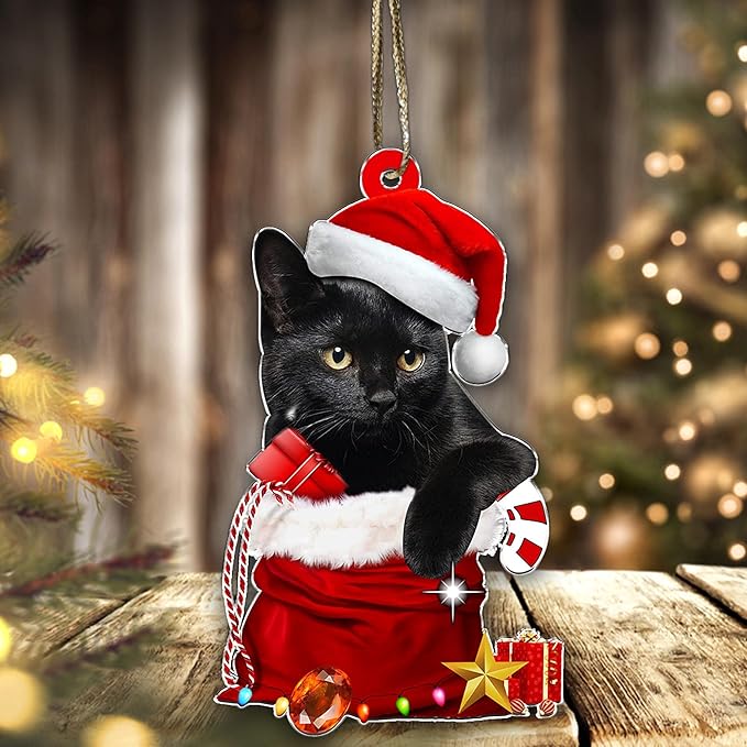 Black Cat Christmas Ornament 2025 – Cute Cat in Santa Hat & Candy Cane – Funny Holiday Tree Decoration for Kitten Lovers, Pet Memorial Keepsake, Xmas Gift for Friends & Family