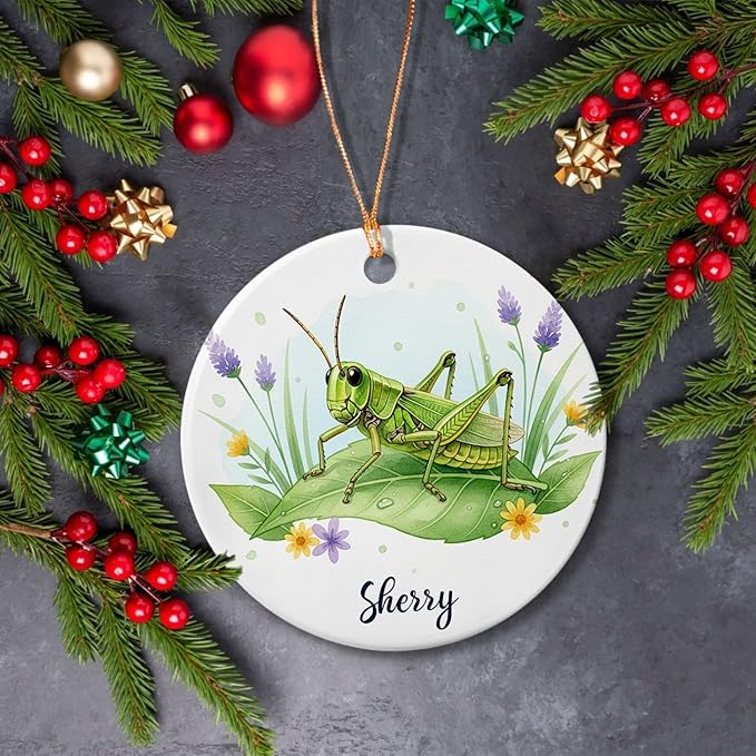 Grasshopper with Nature Ornament, Grasshopper Ceramic Ornament with Customized Name, Grasshoppers Lover Gifts, Grasshoppers Christmas Ornaments, Personalized Insect Lover Keepsake Decoration