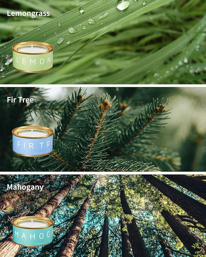 VTS Fall Candles Set, 6 Pack Aromatherapy Candles (Apple Cinnamon, Fir Tree, Mahogany, Ebony Wood, Lemongrass, Amber), Candle Gifts for Men Women for Christmas Birthday