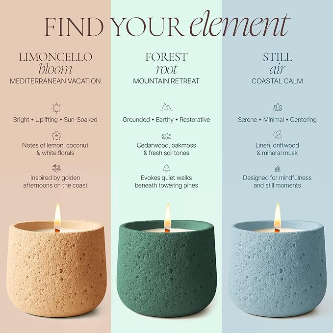 Forest Root, Beeswax Coconut Organic Clean-Burning Candle | Grounding Aromatherapy Cedarwood & Rosemary | Earthy Luxury Home Fragrance | Long-Lasting Slow Burn | Wood Wick, 9oz