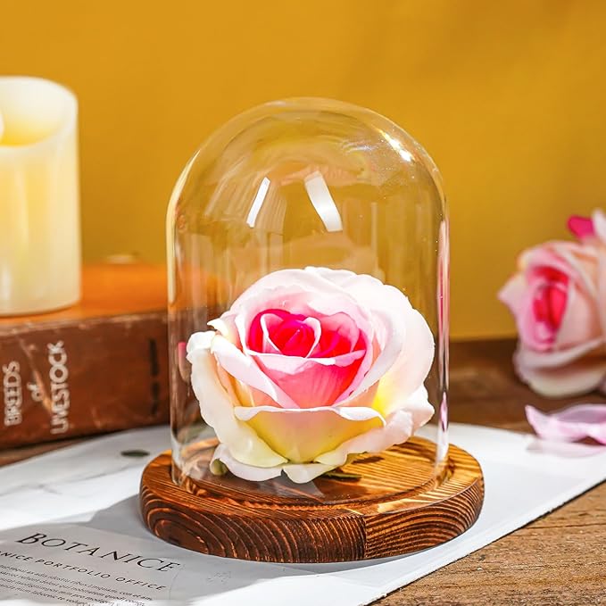 ZEERSHEE 5.5“ x 3.9“ Glass Display Dome Cloche with Wooden Base for Home Decoration