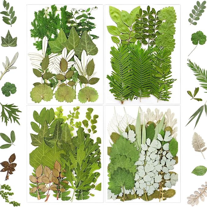 84Pcs Pressed Dried Leaves for Resin Molds, Assorted Real Natural Bulk Dry Flowers for DIY Art Crafts, Epoxy Jewelry, Candle, Soap Making, Nails Decors Gifts