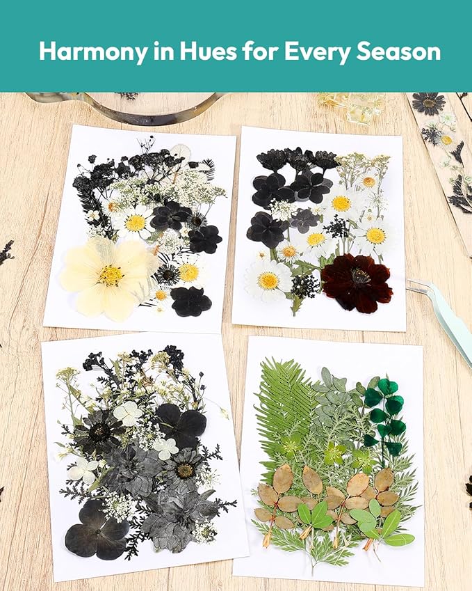 Dried Flowers, Resiners Pressed Flowers for Craft Real Natural Dried Flowers Kit for Scrapbook Supplies DIY Making Crafts Jewelry Resin Soap Candle Card Making (Nightfall 100pcs)