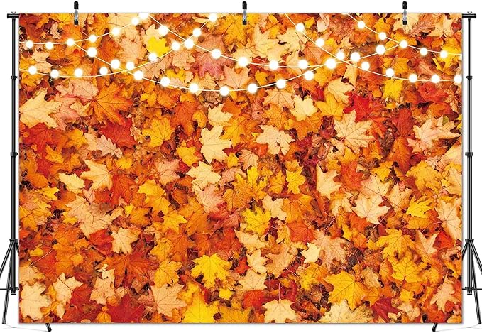 12x8FT Fall Autumn Photo Backdrop for Photography Maple Leaf Pumpkin Thanksgiving Day Harvest Background Fall Forest Party Decorations