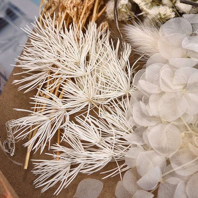 DALARAN 3 Pack Pressed Flowers for Candle Making DIY Dried Flowers Multiple Natural Pressed Flowers Colorful Decorative Dried Flowers
