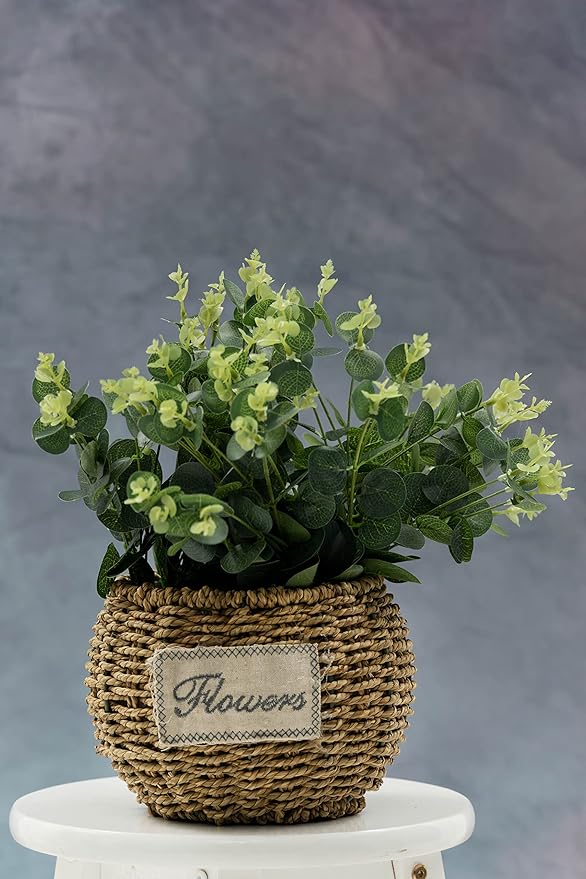 Kate Collapsible Backdrop Pop Up Photo Backdrops Grey Portable Background for Portrait Photography, for Video, for Live Stream, 5x6.5ft