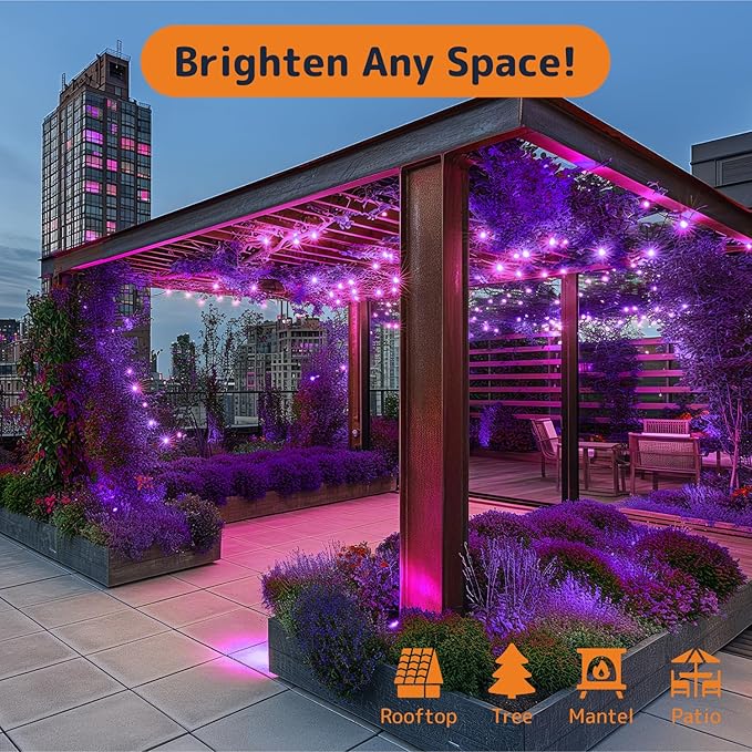 PREXTEX 100 Count Purple Halloween Lights - 20 ft Fairy String Lights with Black Wire - Violet Indoor and Outdoor Mini Light for Halloween Parties, Christmas Holiday Decorations, Fences and Patios