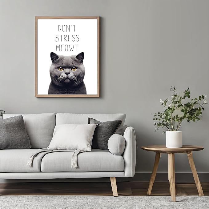 Posterizer 1 pcs - Don’t Stress Meowt - Funny Art for cat lovers - Comedy Art for Animal Lovers - Decor for Home & Office - 05x07 unframed wall