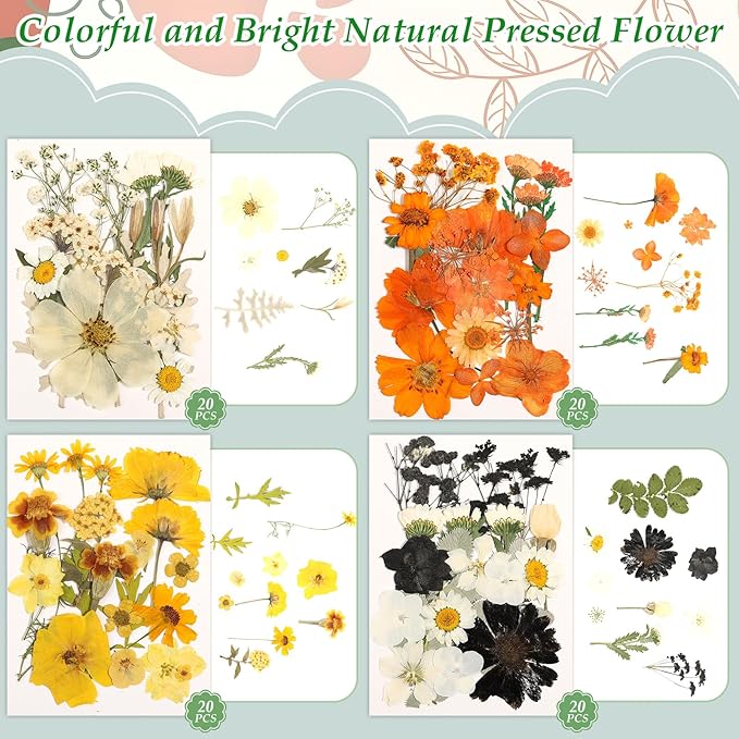500 PCS Dried Flowers Butterfly Stickers for Crafts Real Natural Pressed Flowers Dry Leaves Kit for DIY Making Crafts Resin Soap Candle Scrapbook Supplies Card Making Jewelry