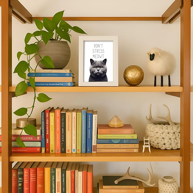 Posterizer 1 pcs - Don’t Stress Meowt - Funny Art for cat lovers - Comedy for Animal Lovers - Decor for Home & Office - 05x07 UNFRAMED Wall Art