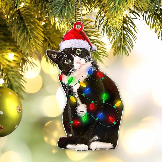Tuxedo Cat Christmas Acrylic Ornament – Black and White Cat Ornament, Customizable with Name - Easily Add Name with Marker (Marker Not Included)