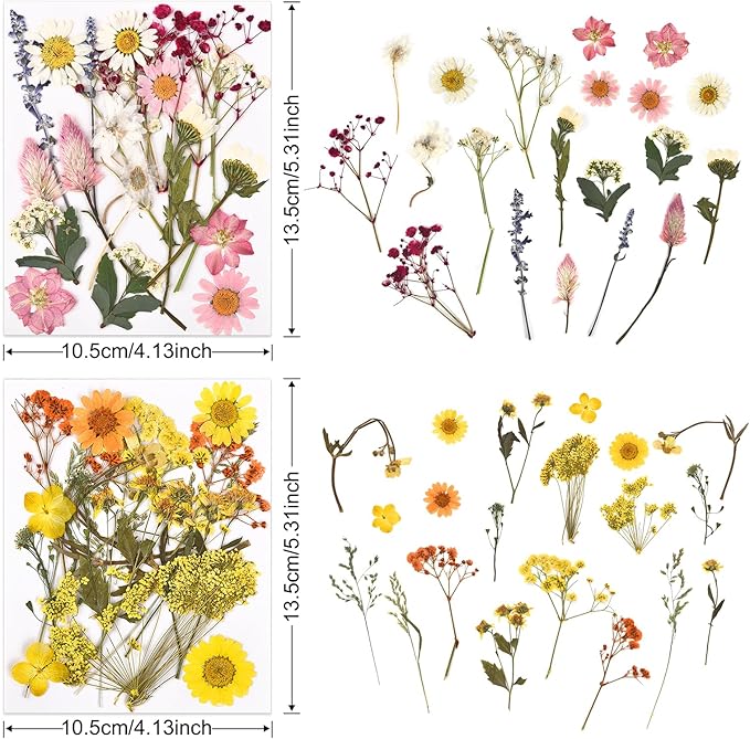 DALARAN 80Pcs Dried Pressed Flowers for Resin Molds Real Pressed Flowers Dry Leaves Kit for Art Crafts Resin Jewelry Making Scrapbook Supplies Card Making Soap Candle DIY