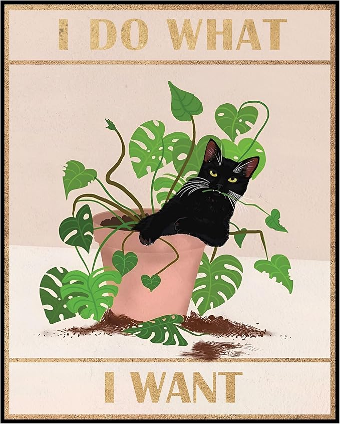 Posterizer 1 pcs - Cute Funny Cat - I Do What i Want - Art for Animal Lovers - Comedy Art - Living Room Bedroom Decor - 05x07 unframed wall art