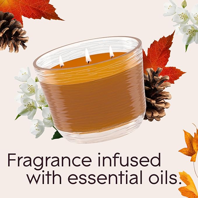 Glade Cashmere Woods, Fragrance Candle Infused with Essential Oils, Air Freshener, 3-Wick Candle, 6.8 Oz, 3 Count