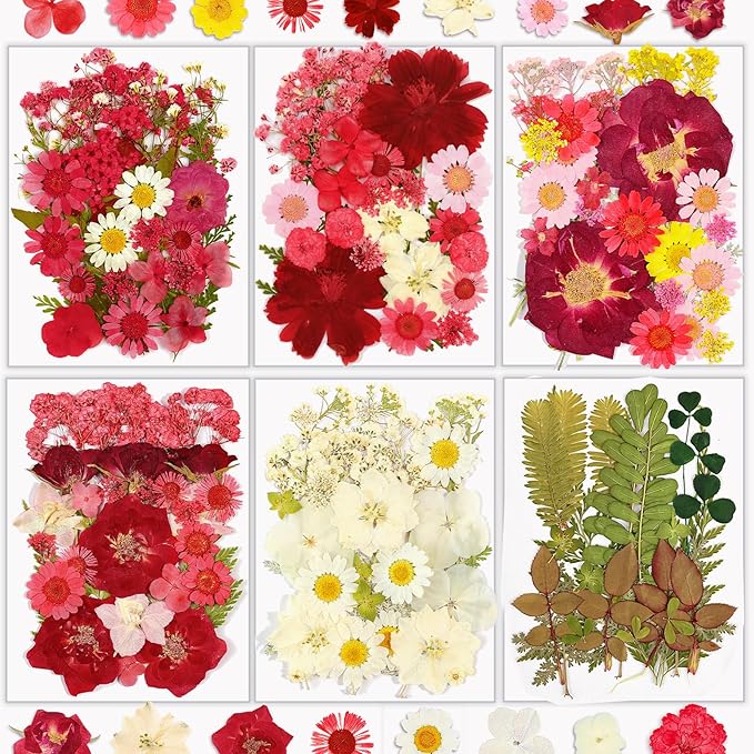 Dried Flowers, Resiners Pressed Flowers for Craft Real Natural Dried Flowers Kit for Scrapbook Supplies DIY Making Crafts Jewelry Resin Soap Candle Card Making (Cherry 174pcs)