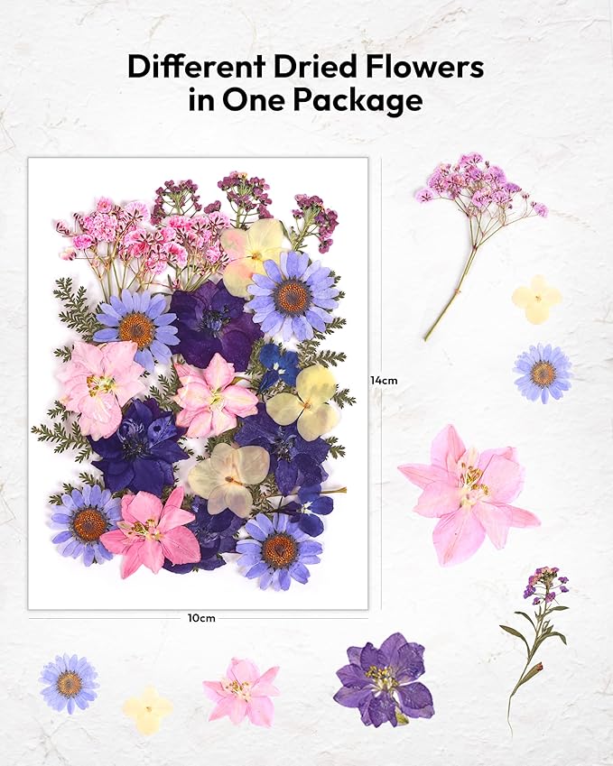 Dried Flowers, Resiners Pressed Flowers for Craft Real Natural Dried Flowers Kit for Scrapbook Supplies DIY Making Crafts Jewelry Resin Soap Candle Card Making (Violet 100pcs)