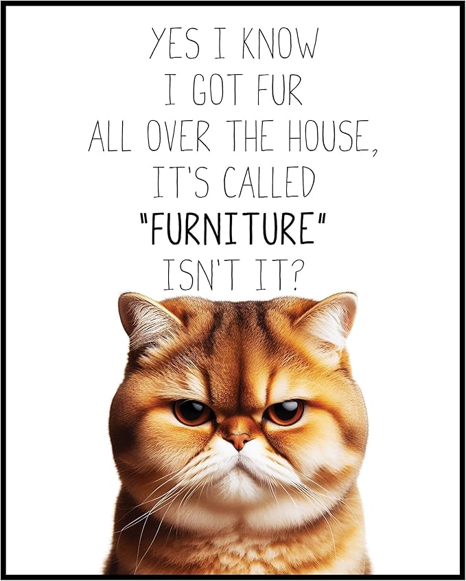 Posterizer 1 pcs - I Know I Got Fur All Over the House - for cat lovers - Comedy Art for Animal Lovers - Decor for Home & Office - 05x07 unframed wall