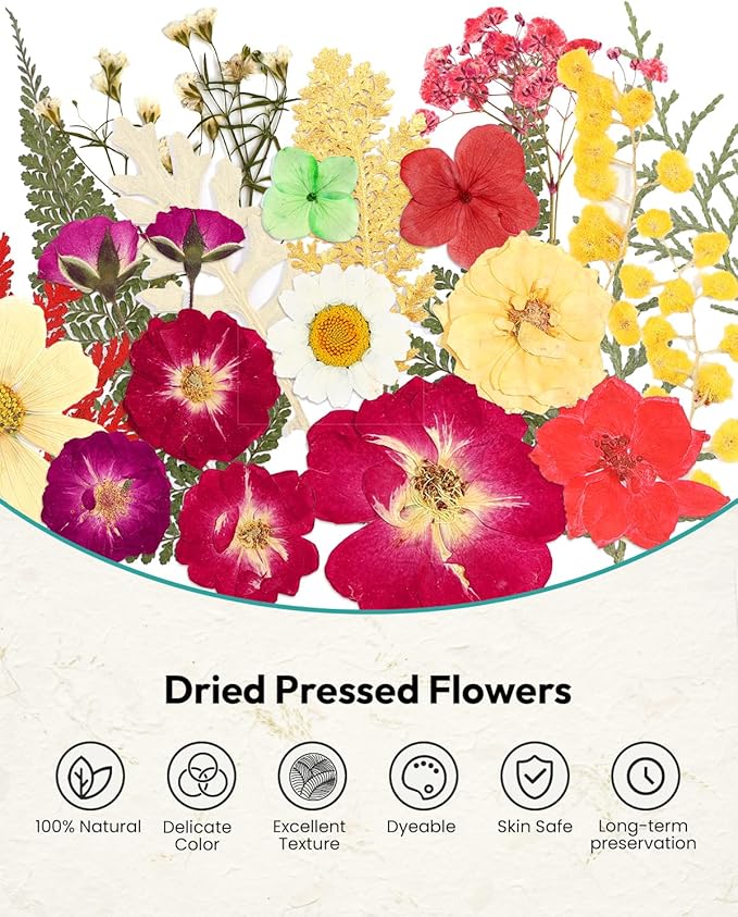 Dried Flowers, Resiners 6 Pack Pressed Flowers for Christmas Craft 100% Real Natural Dried Flowers Kits for Christmas DIY Making Crafts Resin Soap Candle Making Jewelry Scrapbook Supplies Card