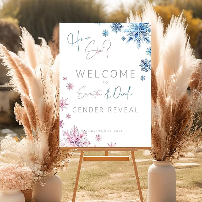 Gender Reveal Welcome Sign, Pink Blue Snowflake Winter Decorations Sign
