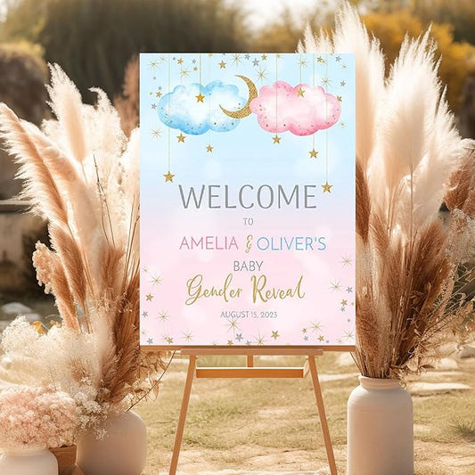 Twinkle Twinkle Little Star Welcome Sign He Or She Gender Reveal, Blue Pink Boy Girl