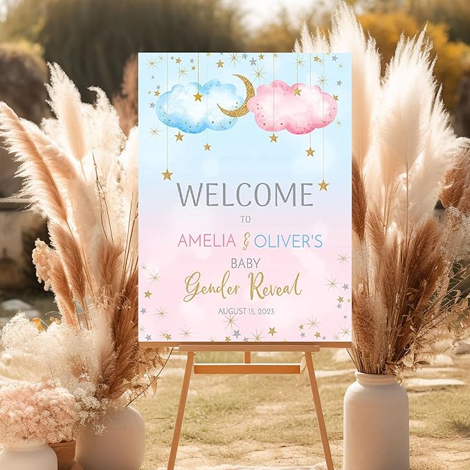 Twinkle Twinkle Little Star Welcome Sign He Or She Gender Reveal, Blue Pink Boy Girl