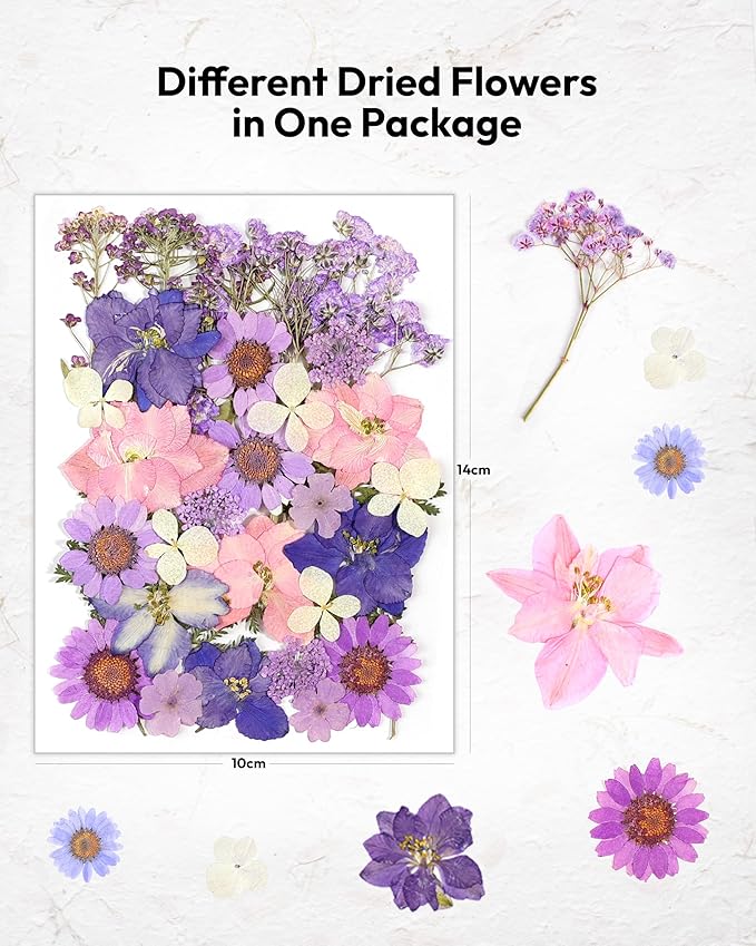 Pressed Flowers, Resiners Dried Pressed Flowers for Scrapbooking Supplies Pressed Flowers Dry Leaves Bulk Natural Herbs Kit for Scrapbooking Resin DIY Art Crafts Making (Purple 174pcs)