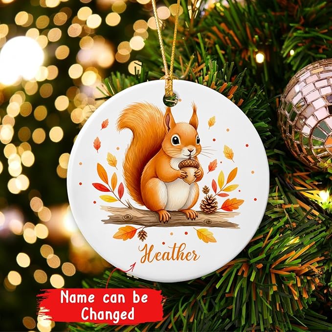 Customized Name Squirrel Christmas Holiday Ornament, Squirrels Keepsake Gift for Boy Girl Kids Children, Baby Squirrel Ornament Xmas Tree, Personalized Wild Animal Ceramic Ornaments, Squirrels Decor