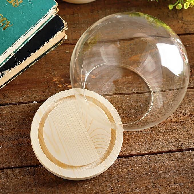 ZEERSHEE Round Glass Cloche Display Dome 6inch Decorative Glass Display Bell Jar for Plants Keepsakes Collectibles