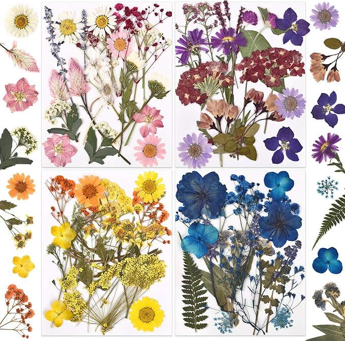 DALARAN 80Pcs Dried Pressed Flowers for Resin Molds Real Pressed Flowers Dry Leaves Kit for Art Crafts Resin Jewelry Making Scrapbook Supplies Card Making Soap Candle DIY