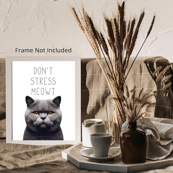 Posterizer 1 pcs - Don’t Stress Meowt - Funny Art for cat lovers - Comedy Art for Animal Lovers - Decor for Home & Office - 05x07 unframed wall