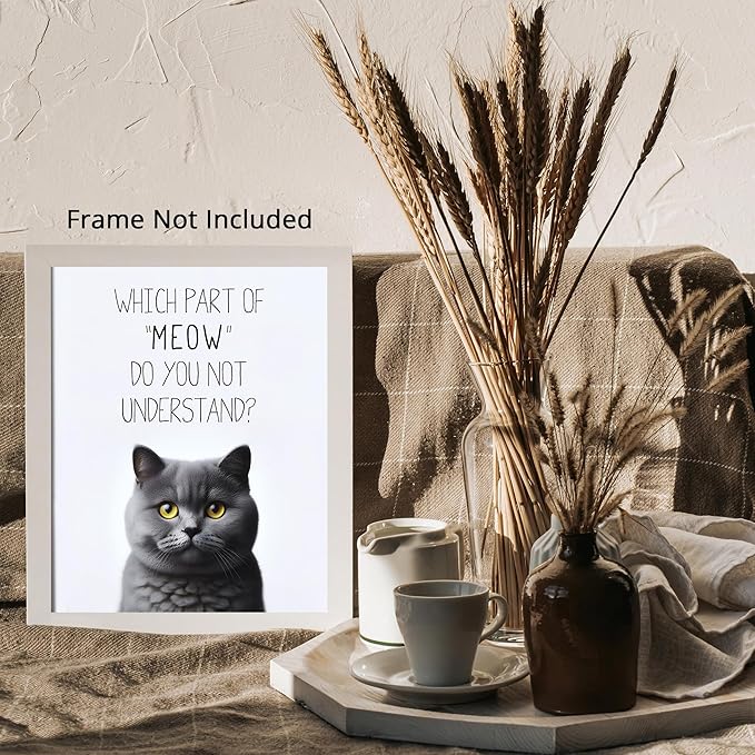 Posterizer 1 pcs - Which Part of Meow Do You Not Understand - for cat lovers - Comedy Art for Animal Lovers - 08x10 unframed wall
