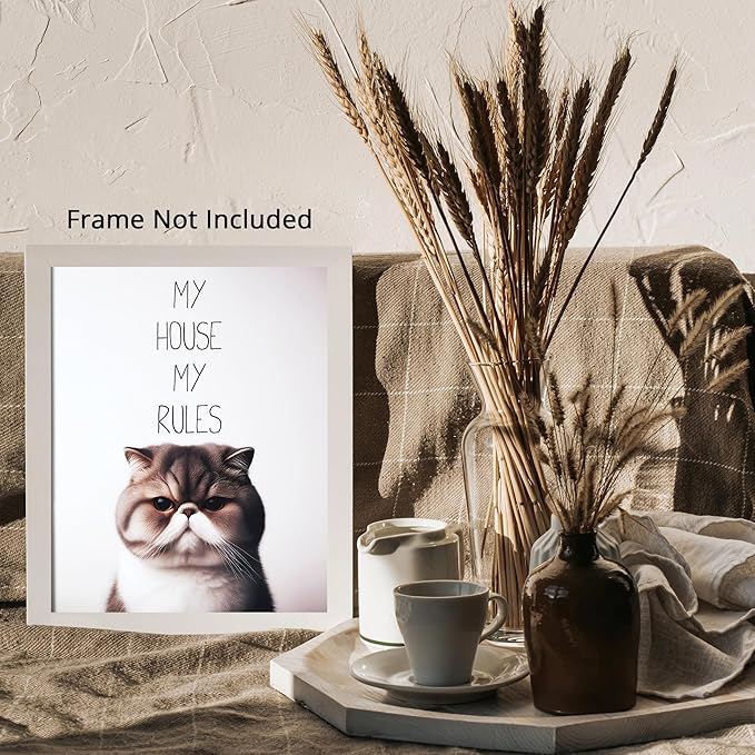 Posterizer 1 pcs - My House My Rules - Funny Art for cat lovers - Comedy Art for Animal Lovers - Decor for Home & Office - 08x10 unframed wall