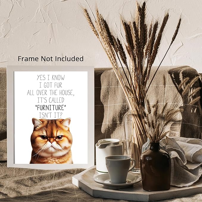 Posterizer 1 pcs - I Know I Got Fur All Over the House - for cat lovers - Comedy Art for Animal Lovers - Decor for Home & Office - 16x20 unframed wall