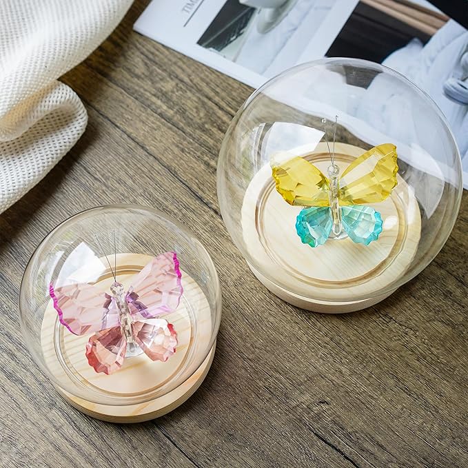 ZEERSHEE Round Glass Display Dome Cloche with Wooden Base for Home Decoration Diameter 4.7 Inches