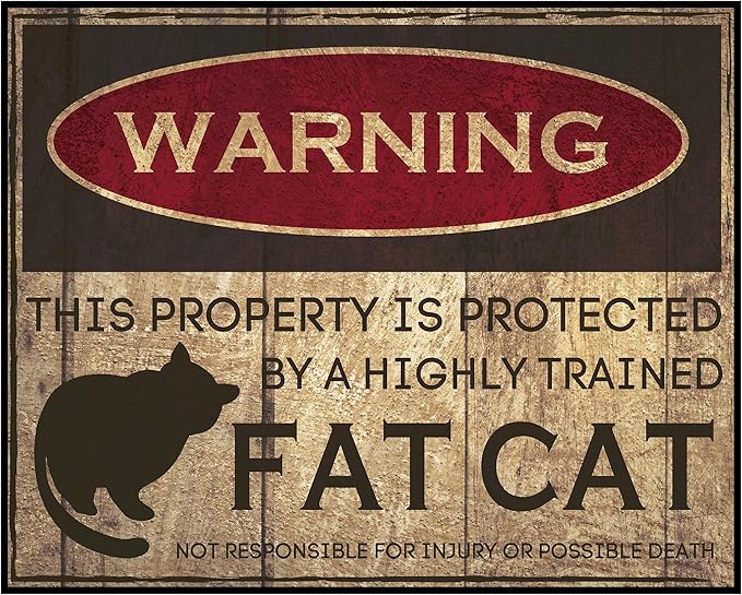 Posterizer 1 pcs - Fat Cat Warning Sign - Funny Poster For Cat Lovers - Art for Animal Lovers - Comedy Art - Gift For Animal Lovers - Living Room Bedroom Decor - 16x20 unframed wall art