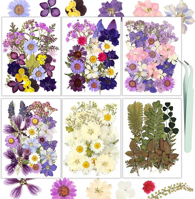 Pressed Flowers, Resiners Dried Pressed Flowers for Scrapbooking Supplies Pressed Flowers Dry Leaves Bulk Natural Herbs Kit for Scrapbooking Resin DIY Art Crafts Making (Purple 174pcs)